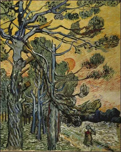 À qui appartient cette forêt ?