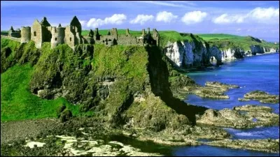 Quel est le mot qui te correspond le plus ?