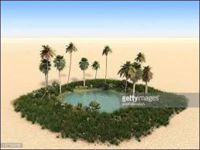 Oasis est un mot ...