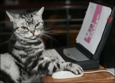 Ton jeu vidéo préféré est...