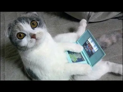 Ta saison préférée est...