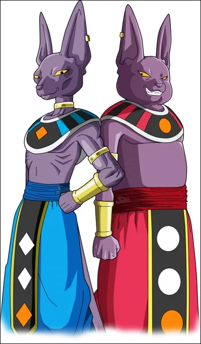 Quel est le lien de famille entre Champa et Beerus ?