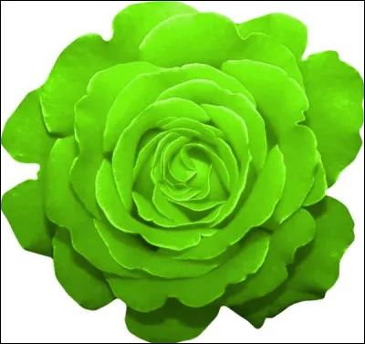 Comment dit-on "vert" en anglais ?