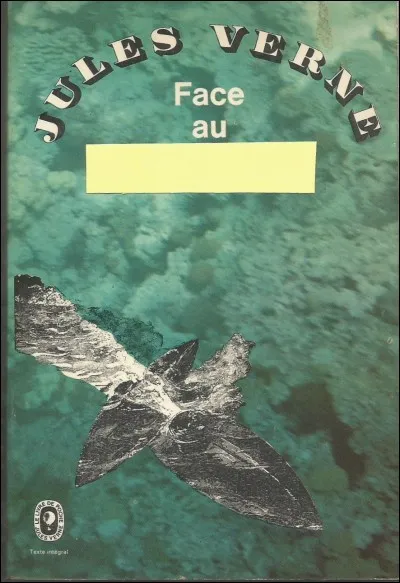 Dans ce roman, on est face au...