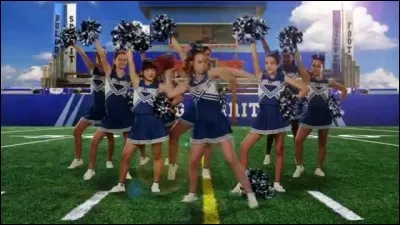 Dans quelle équipe Troy a-t-il été après les Bulldogs ?