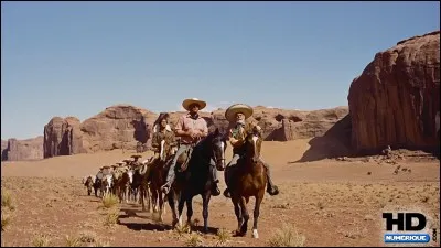 Quel est le nom de ce film créé en 1956 par John Ford, racontant l'histoire de la famille d'Aaron Edwards, décimée par une bande de Comanches qui attaquent son ranch et enlèvent ses deux fillettes ? Ethan, le frère d'Aaron, découvre le drame et se lance sur les traces des ravisseurs avec deux autres compagnons...