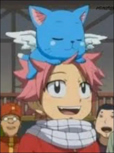 Comment Natsu a-t-il trouvé l'uf de Happy ?
