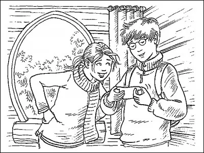 Qui est le propriétaire de "La Cabane magique" ?