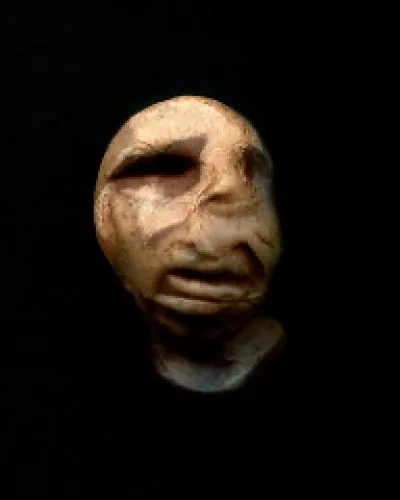 Achille était le prince des terrifiants myrmidons pendant la guerre de Troie, peuple métamorphosé et descendant des ;