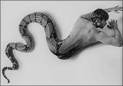 Prince phénicien, fondateur de la ville de Thèbes, changé en serpent et admis aux Champs Élysée. Qui est-il ?