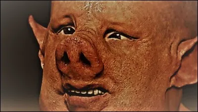 Quelle magicienne transforma les compagnons d'Ulysse en porc ?