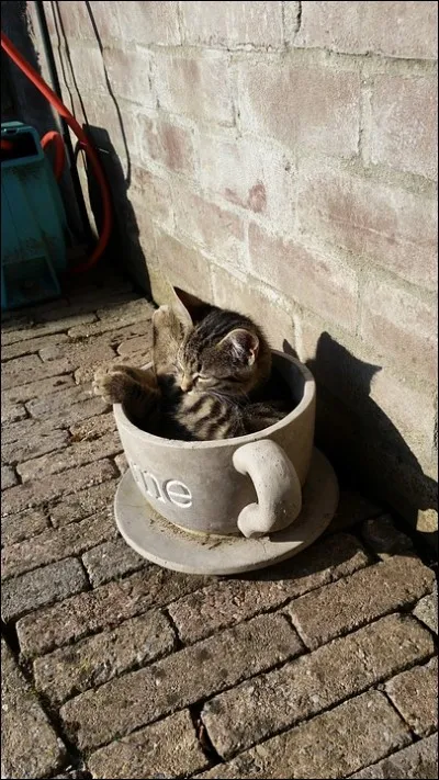 Êtes-vous indépendant ?