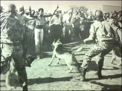 Qui s'est révolté en premier en mai 1968 ?