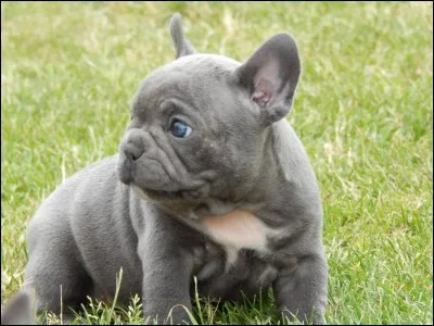 Je ne comprends pas ce que c'est...