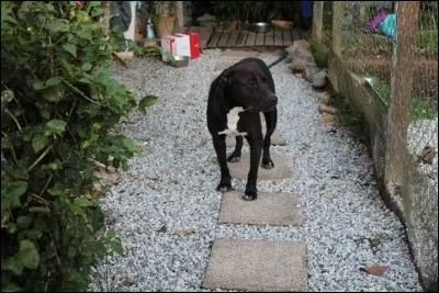 Dont la pente est raide, escarpée, dangereuse !