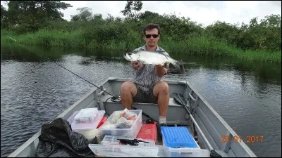 Poisson de la famille des cyprinidés, il peut être blanc ou argenté !