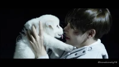 De quelle MV vient cette image ?