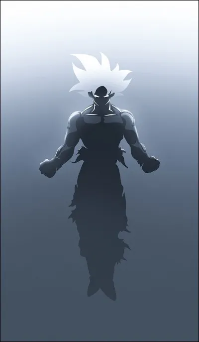 Combien Goku a-t-il de transformations ?