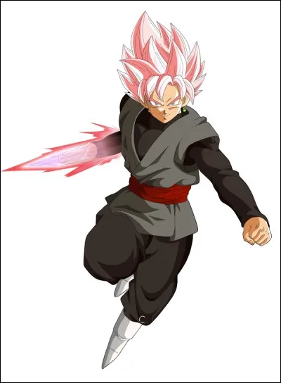 Comment s'appelle la transformation de Goku Black ?
(Voir la photo)