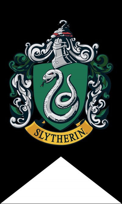 Les Gryffondor apprennent, en ce début de chapitre, qu'en plus des cours de potions, d'autres cours auront également lieu avec les Serpentard ... Il s'agit des cours de ...
