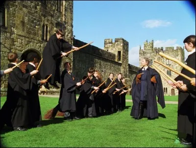 Lors du cours de balai volant, Neville perd le contrôle de son balai, et est transporté à l'infirmerie par Madame Bibine pour soigner son poignet. Ce qui fera dire à Drago Malefoy : "Vous avez vu sa tête, à ce ........ ?"