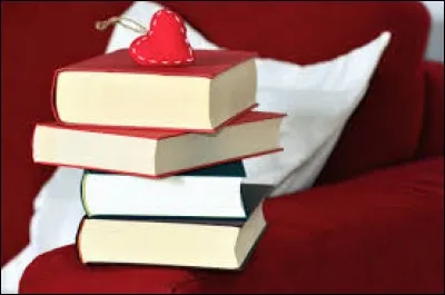 Qu'est-ce que tu lis avant de t'endormir ?