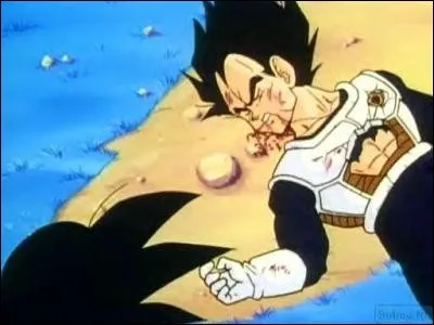 Que fait Vegeta avant de mourir ? (Saga Freezer)