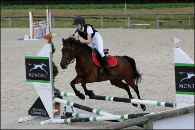 Comment s'appelle cette discipline ?