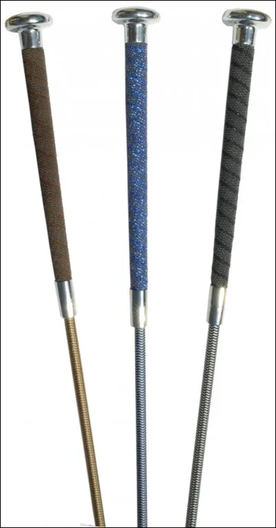 Comment s'appelle l'objet qui sert à faire avancer le cheval ?