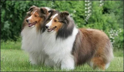 Quel entretien veux-tu ?