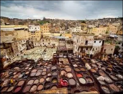 Fès est une ville du nord-est du/de la/d' :