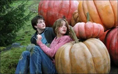 De quel film est tir cette image ?