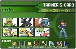 Les badjes sur cette image sont les badjes de...