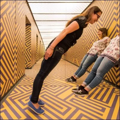 "Le Livre des illusions" et un livre de :