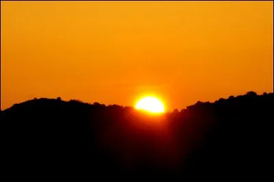 Cochez l'auteur de "Le soleil se lève aussi".