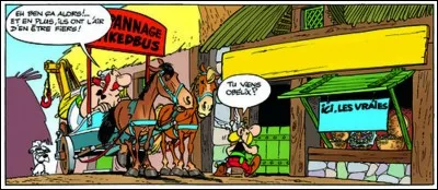 Dvrant levr « Tovr de Gavle » [Zvt ! J'ai perdv mes « v », c'est vn megallovirvs contagievx], nos devx héros font plvsievrs haltes, entre avtre dans vne bovtiqve povr s'enqvérir de/d' ... de ... (Complétez !)