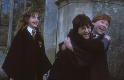 C'est grâce à cet épisode que le célèbre trio Harry Potter / Ron Weasley / Hermione Granger se forme et se soude définitivement. Ce trio aura donc vu le jour grâce à un troll de ...