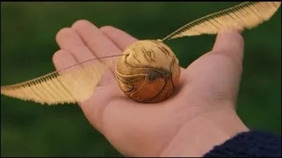 Ensuite, Dubois lui présente les autres balles du quidditch : les cognards, puis le vif d'or. Il alerte Harry sur la durée que peut atteindre un match de quidditch. Selon lui, le match le plus long a duré ...