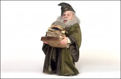 Pendant ce temps, en cours d'enchantements, le professeur Flitwick apprend à ses élèves à faire voler des objets. Afin d'attirer leur attention sur l'importance de la prononciation de la formule magique, il prend comme exemple le sorcier Baruffio. Qu'est-il arrivé à la femme de ce sorcier ?
