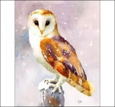 Cette antilope du Sahara, à longues cornes spiralées et à nez tacheté, est menacée de disparition :