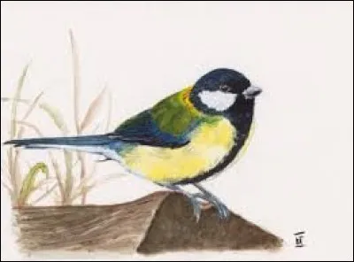 Lorsqu'on prend congé de quelqu'un définitivement ou pour une période très longue, on lui dit :