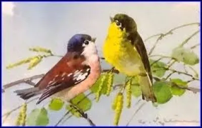 Chant de la fauvette ou bavardage enfantin :