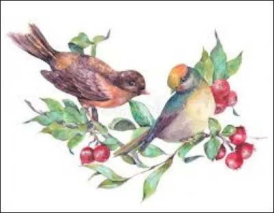 Regarder bouche bée :