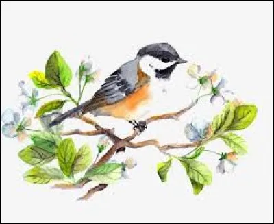 À la chasse, c'est le fond du terrier où les chiens poussent les animaux qui se terrent :