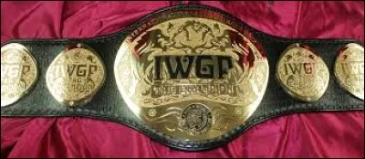 Qui furent les premiers titulaires du IWGP Tag Team Championship ?