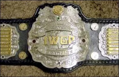 Qui est le premier titulaire du IWGP Junior Heavyweight Tag Team Championship ?