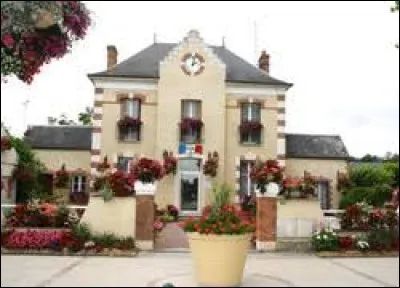 Je vous emmène dans le Centre-Val-de-Loire, à Chevillon-sur-Huillard. Village de l'agglomération de Montargis, dans la région agricole du Gâtinais pauvre, il se situe dans le département ...