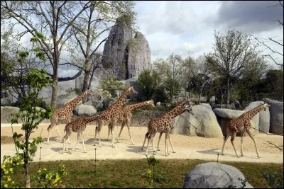 Quel est le nom de ce zoo qui, depuis sa r&eacute;ouverture en 2014, est devenu l'une des sorties pr&eacute;f&eacute;r&eacute;es des Parisiens petits et grands ?