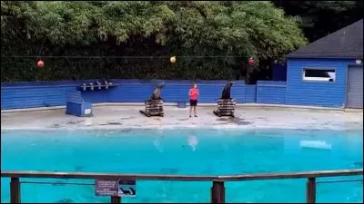 Quel est le nom de ce zoo qui accueille plus de 1 200 animaux de 120 esp&egrave;ces diff&eacute;rentes, des ours polaires aux hippopotames, en passant par la meute des loups arctiques ?