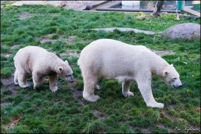 Quel est le nom de ce zoo nomm&eacute; premier site touristique du Haut-Rhin, mais &eacute;galement l'un des plus anciens zoos de France ?